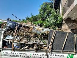 Best Moving and Downsizing Cleanouts  in Rainelle, WV